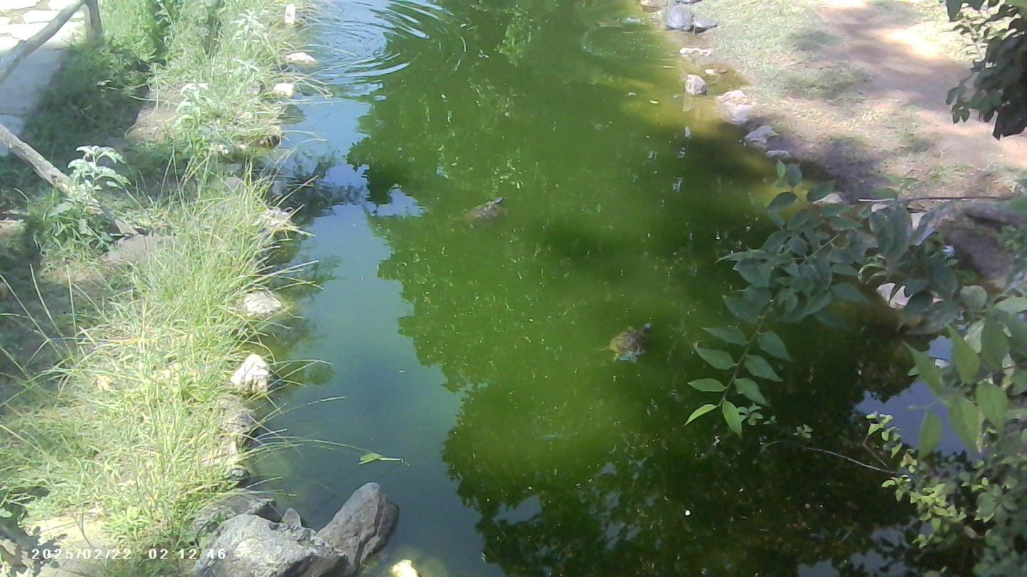 Retro Mini Digital Camera